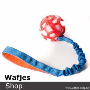 Bungee Red Ball - White Fur - Blue Handle