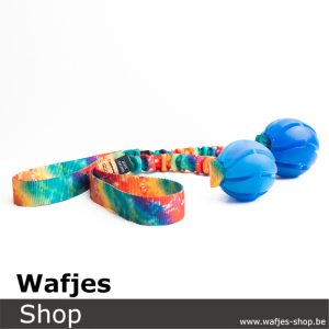 Bungee Rainbow Spiral | Blue