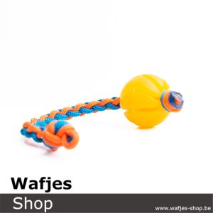 Rope Spiral XS | Blue-Orange