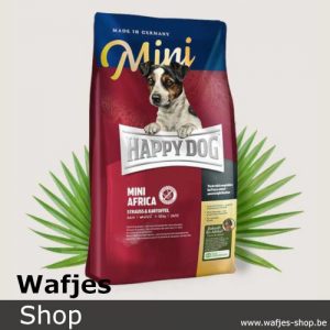 HappyDog - Supreme-MiniAfrica