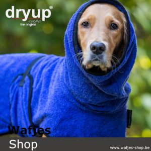 dryup Cape Blueberry