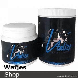 Vtalize Instant Energy for dogs