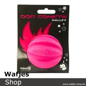 Dog-Comets-Ball-Halley-Roze